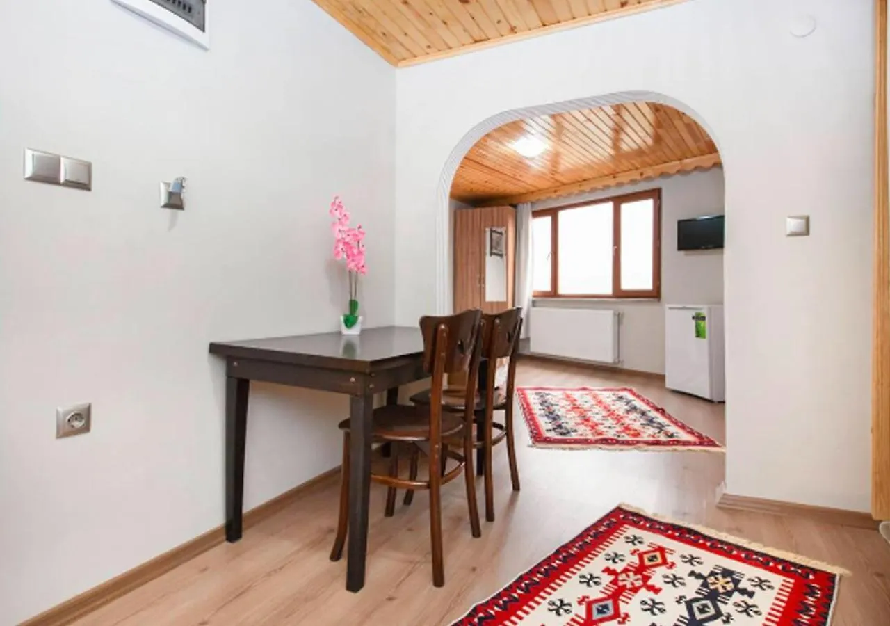 ** Aparthotel Balat Home Provincia di Provincia di Istanbul Turchia