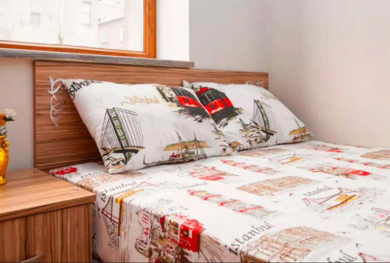 Balat Home Provincia di Provincia di Istanbul 2*,